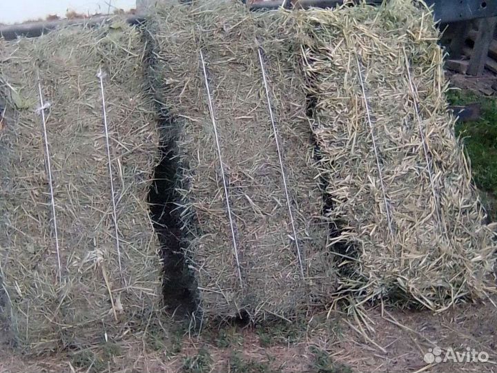 Сено в тюках