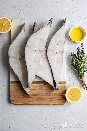 Палтус синекорый