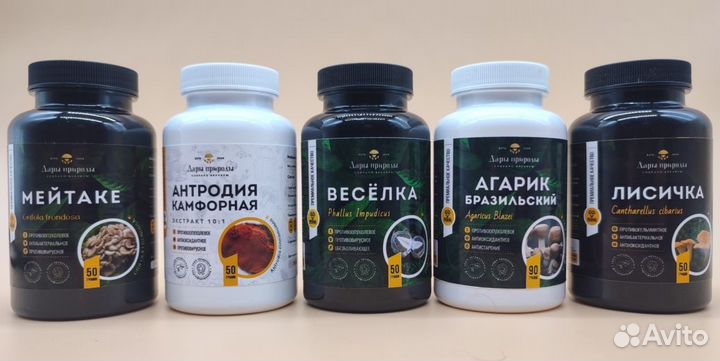 Сушеные Веселка Агарик б. Мейтаке Антродия Пория