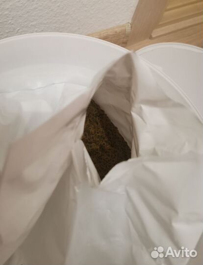 Корм для рыб с спирулиной tetra pro algae