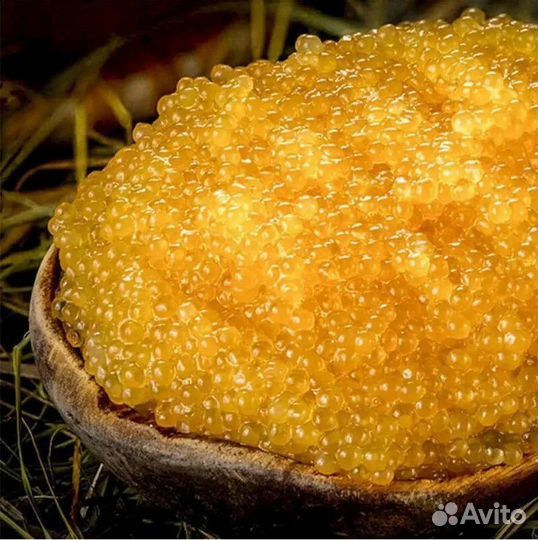 Морепродукты, крабы, креветки, икра