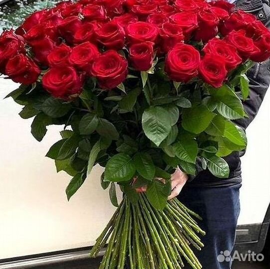 Розы Цветы Букеты 25 51 151 201 101 301 501 опт