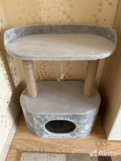 Когтеточка