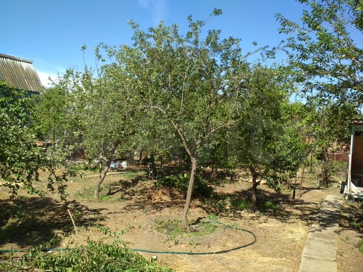 Дача 20 м² на участке 5 сот.