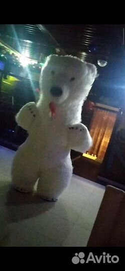 Белый мишка поздравление