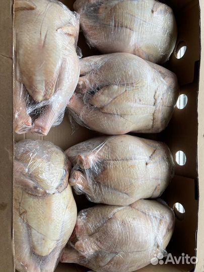 Мясо домашнего бройлера