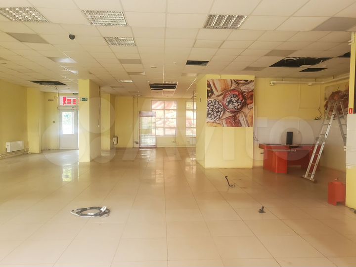 Сдам помещение 237 кв.м в Роще