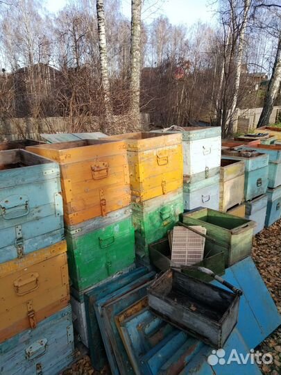 Ульи для пчел