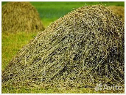 Сено в тюках