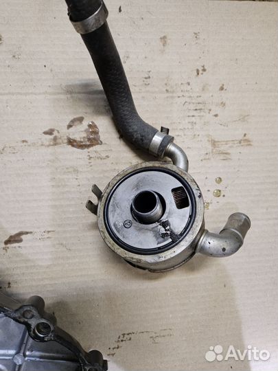 Теплообменник хорда хорнет