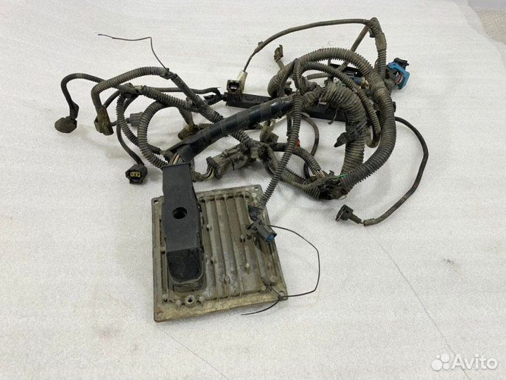 Проводка моторная Ford Focus 2 2005-2008