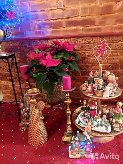 Этажерка металл огромная