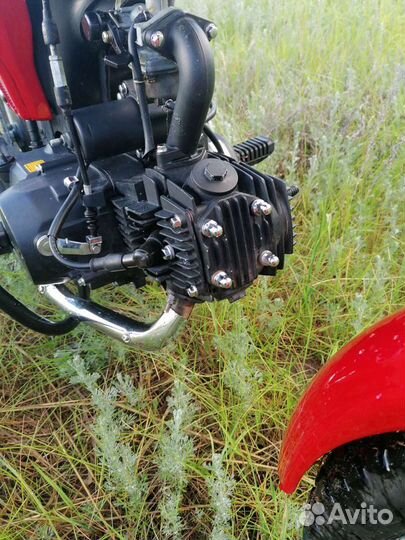 Alpha Rx 110