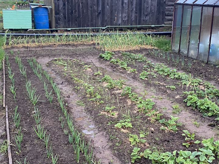 Дача 36 м² на участке 5 сот.