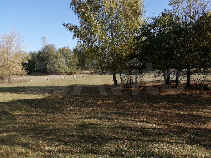 Участок 50 сот. (ИЖС)