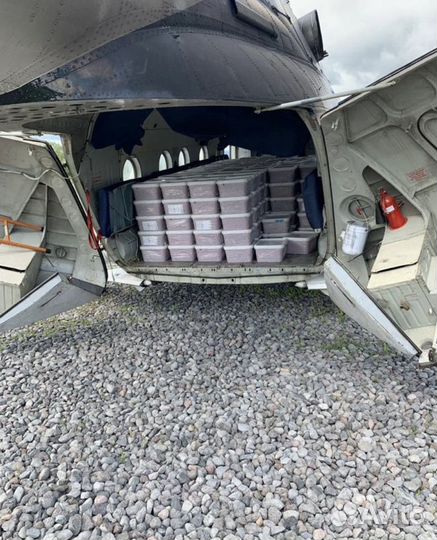 Красная икра оптом 2023г