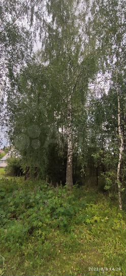 Дача 42 м² на участке 7 сот.