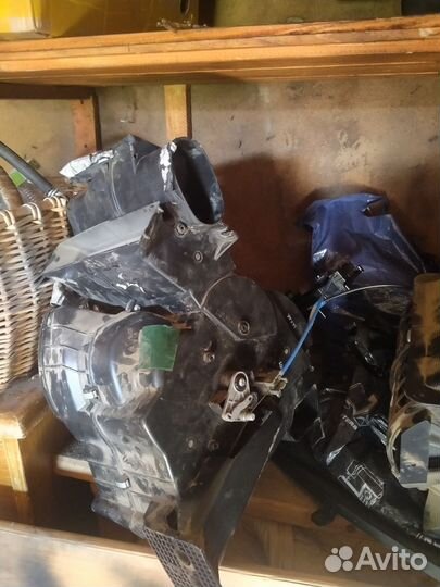 Жабо калина