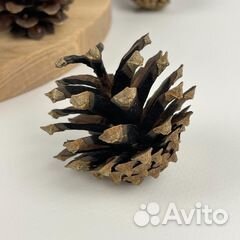 Шишки для декора и поделок