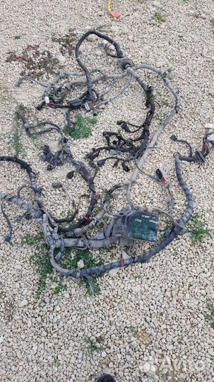 Проводка Hyundai accent коса двигателя автомат