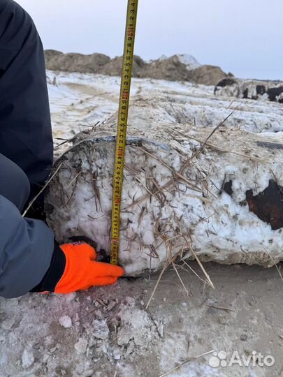 Аренда слани