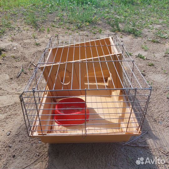 Клетка