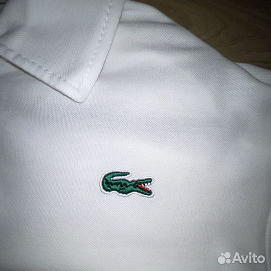 Летний мужской костюм Lacoste