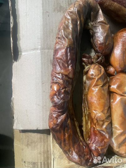 Продам мясо конина забой 19.09