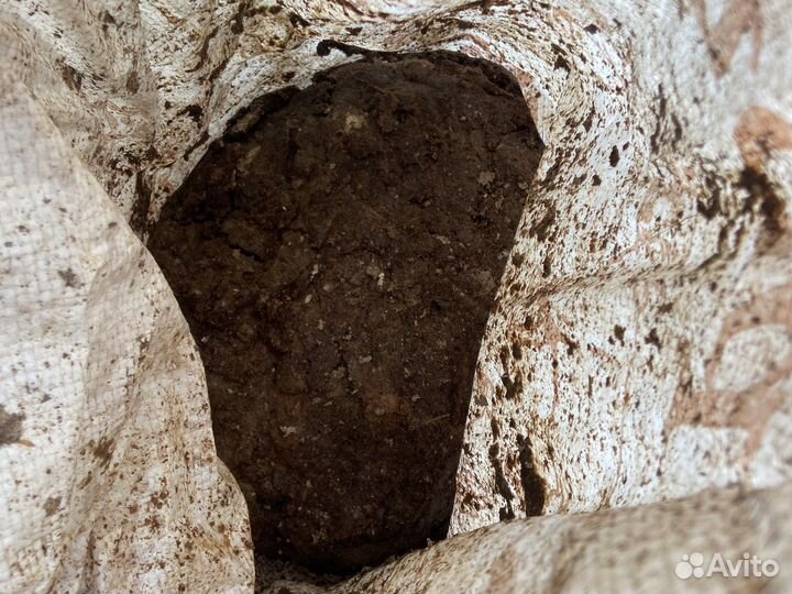 Чернозем, навоз куриный