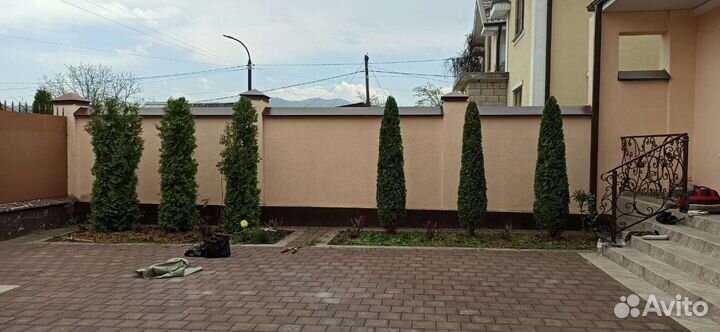 Обрезка кустарника,туи и др. Чистка палисадников
