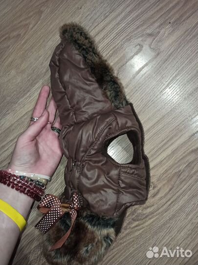 Одежда для маленьких пород собак