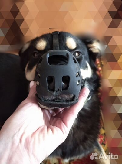 Намордник для собак силиконовый