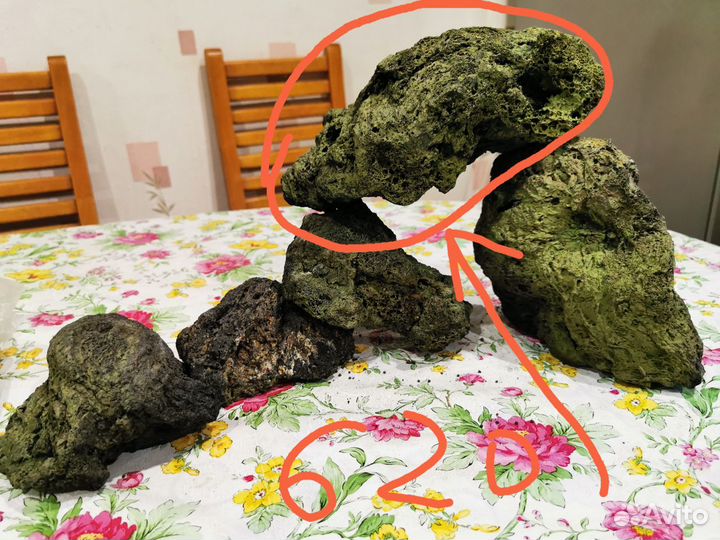 Декарация для аквариума