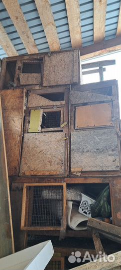 Клетка для кроликов с маточником