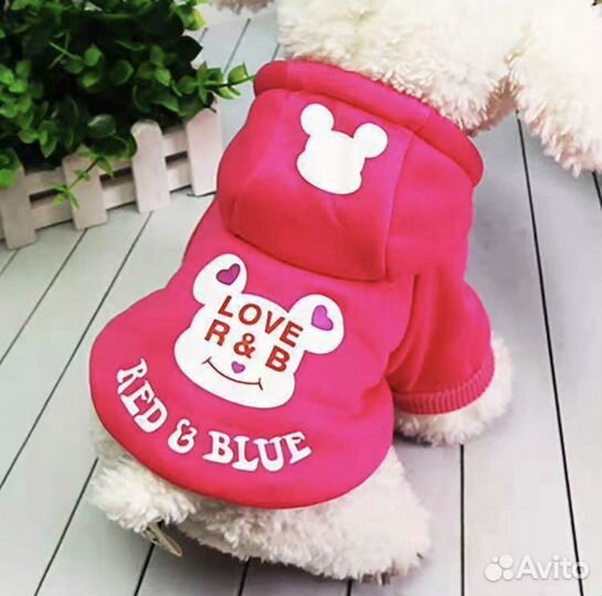 Худи для мелких собак и кошек