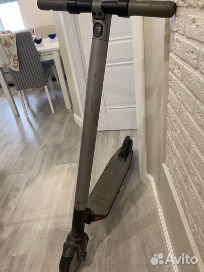 Электросамокат ninebot by segway