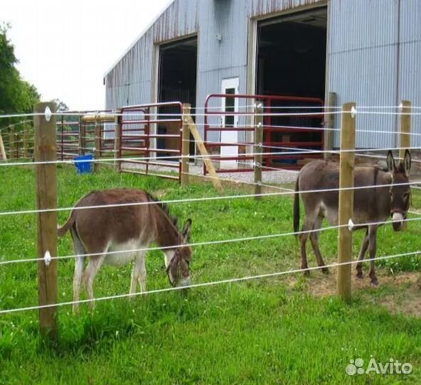 Электропастух для заповедников для зоопарков