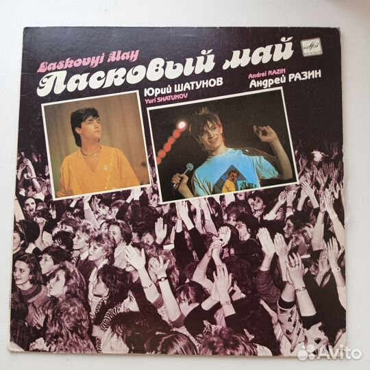 Виниловые пластинки. Советская эстрада