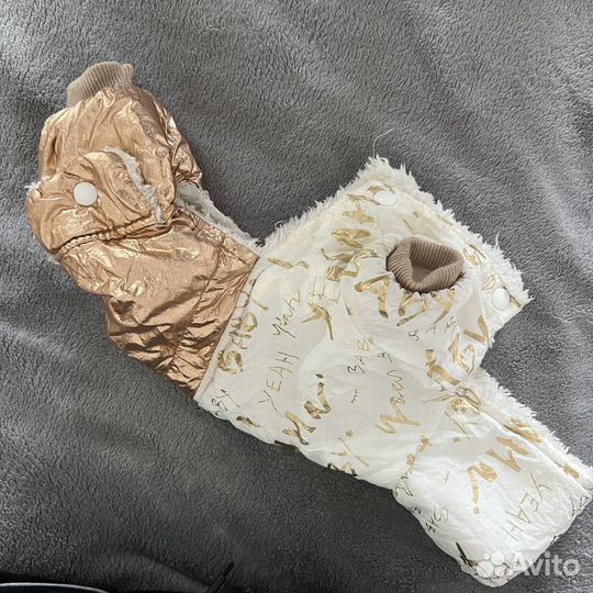 Одежда для маленьких пород собак