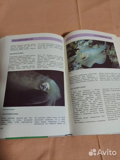 Энциклопедия