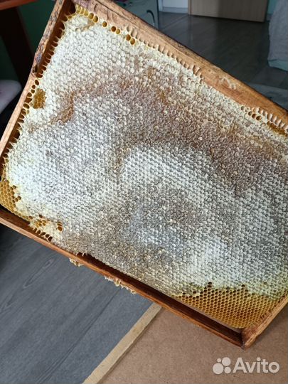 Сотовый мед, прополис, забрус