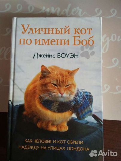 Уличный кот по имени Боб