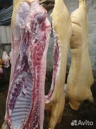 Продам мясо свинина
