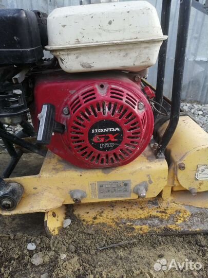 Аренда прокат Виброплиты