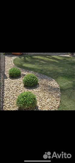 Ландшафтный дизайн