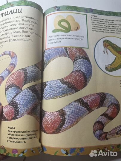 Энциклопедия для детей