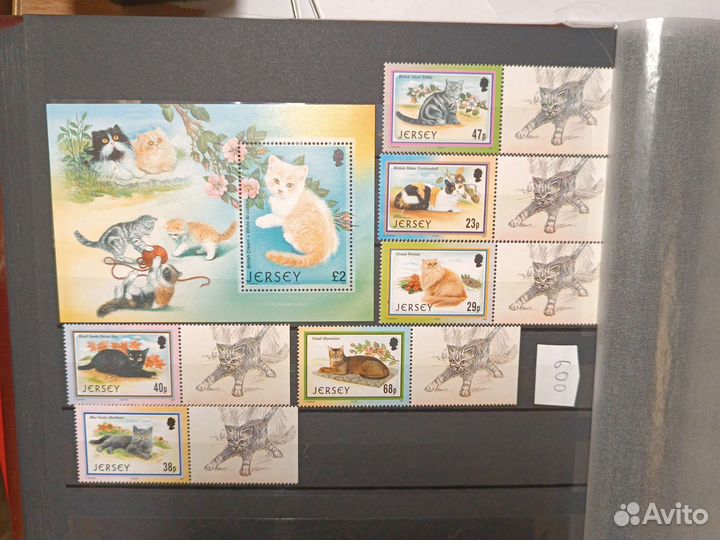 Марки кошки собаки