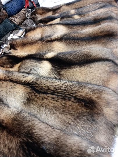 Шкурки енотовидной собаки