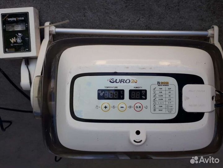 Инкубатор для яиц