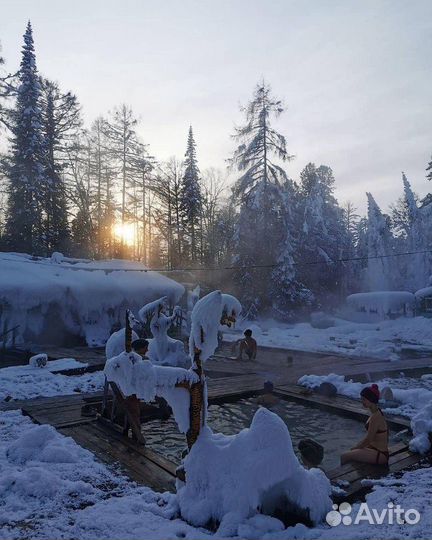 Аренда джипа